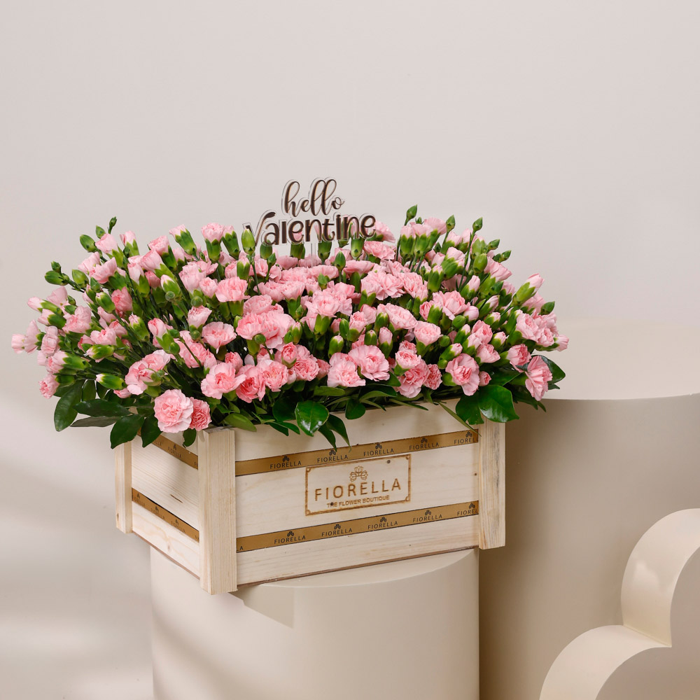  VALENTINE PINK HARMONY